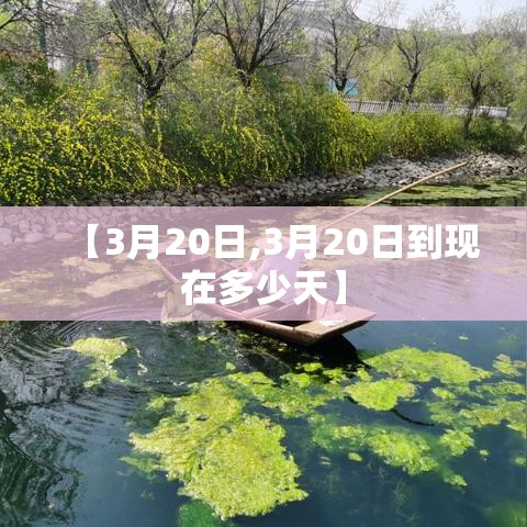【3月20日,3月20日到现在多少天】