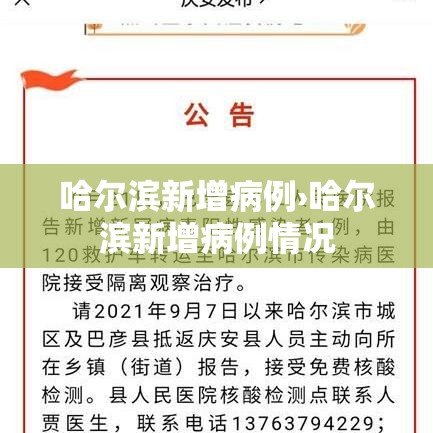 哈尔滨新增病例›哈尔滨新增病例情况
