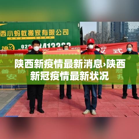 陕西新疫情最新消息›陕西新冠疫情最新状况