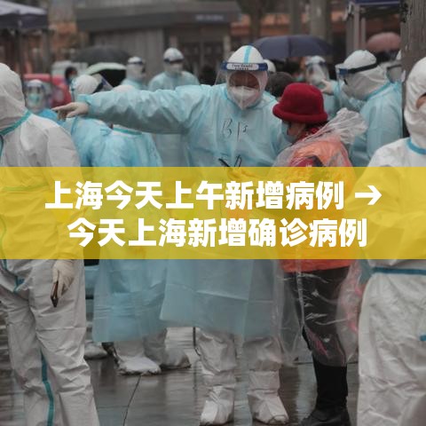 上海今天上午新增病例 → 今天上海新增确诊病例
