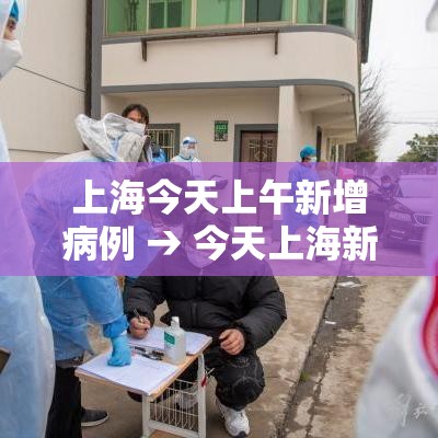 上海今天上午新增病例 → 今天上海新增确诊病例 上海今天上午新增病例 → 今天上海新增确诊病例