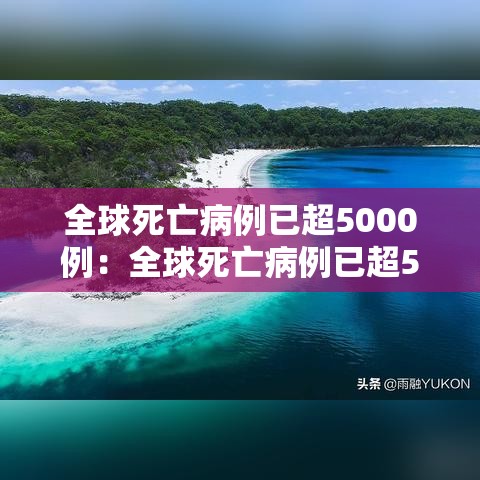 全球死亡病例已超5000例：全球死亡病例已超5000例了吗