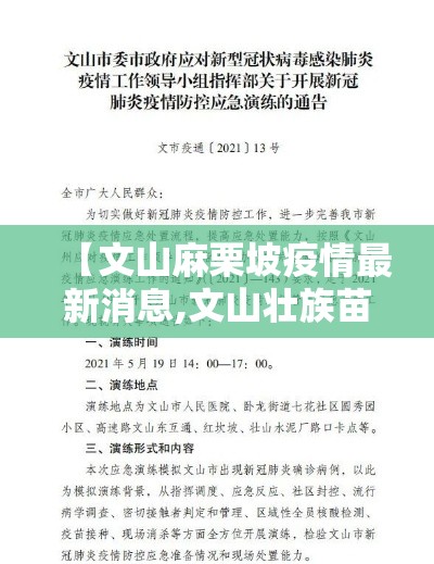 【文山麻栗坡疫情最新消息,文山壮族苗族自治州麻栗坡】