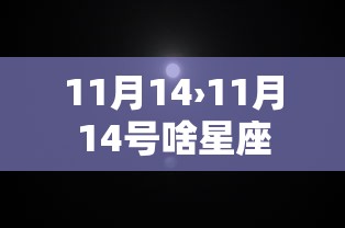 11月14›11月14号啥星座