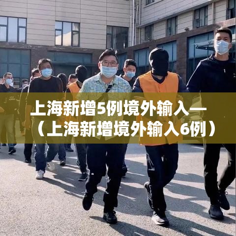 上海新增5例境外输入—（上海新增境外输入6例）