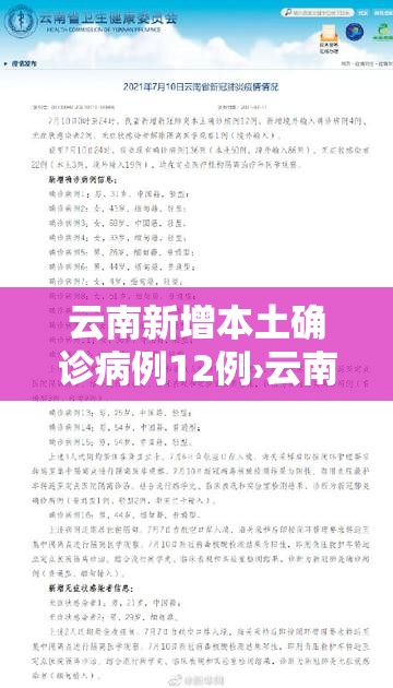 云南新增本土确诊病例12例›云南新增本土确诊病例3例