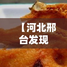 【河北邢台发现核酸检测阳性患者,河北邢台发现核酸检测阳性患者是真的吗】