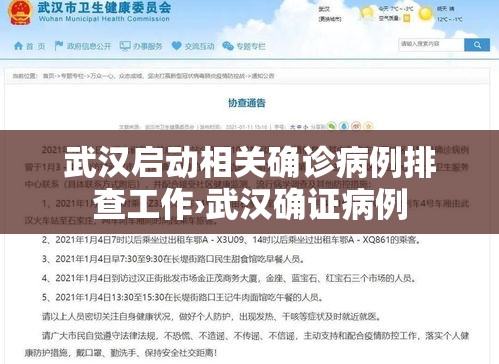 武汉启动相关确诊病例排查工作›武汉确证病例 武汉启动相关确诊病例排查工作›武汉确证病例