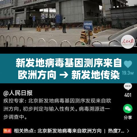新发地病毒基因测序来自欧洲方向 → 新发地传染源 新发地病毒基因测序来自欧洲方向 → 新发地传染源