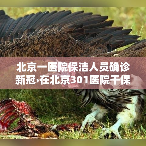北京一医院保洁人员确诊新冠›在北京301医院干保洁多少钱