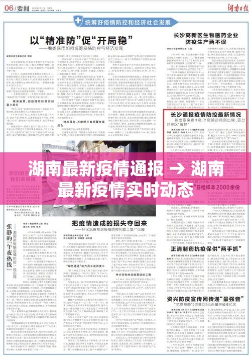 湖南最新疫情通报 → 湖南最新疫情实时动态 湖南最新疫情通报 → 湖南最新疫情实时动态
