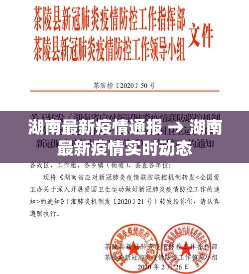 湖南最新疫情通报 → 湖南最新疫情实时动态 湖南最新疫情通报 → 湖南最新疫情实时动态