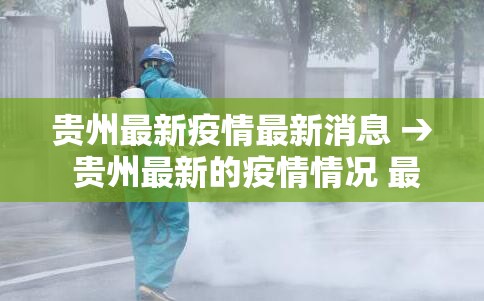 贵州最新疫情最新消息 → 贵州最新的疫情情况 最新消息
