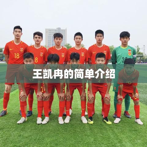 王凯冉的简单介绍