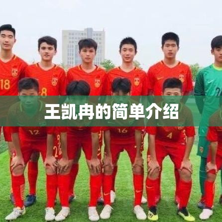 王凯冉的简单介绍