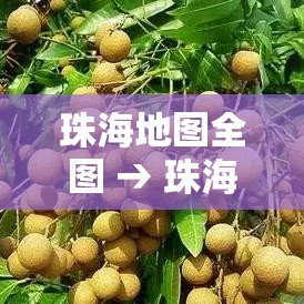 珠海地图全图 → 珠海地图市区图 珠海地图全图 → 珠海地图市区图