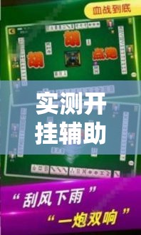 实测开挂辅助“哥哥杭州麻将怎么开挂”透视开挂辅助教程