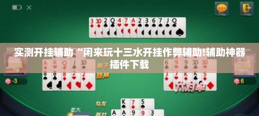 实测开挂辅助“闲来玩十三水开挂作弊辅助!辅助神器插件下载