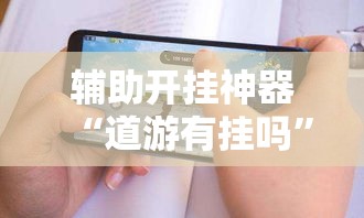 辅助开挂神器“道游有挂吗”科技辅助神器手机版教程