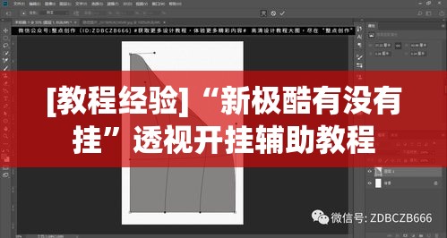 [教程经验]“新极酷有没有挂”透视开挂辅助教程