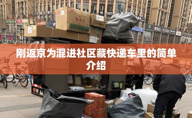 刚返京为混进社区藏快递车里的简单介绍