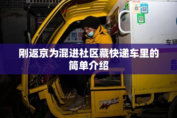 刚返京为混进社区藏快递车里的简单介绍