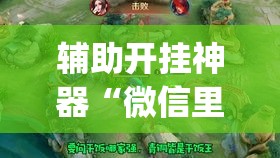辅助开挂神器“微信里微乐麻将有诀窍”(透视挂)辅助透视教程