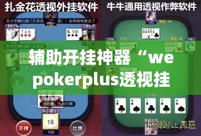 辅助开挂神器“wepokerplus透视挂辅助教程!辅助神器插件下载