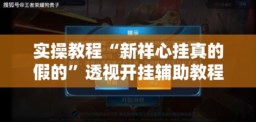 实操教程“新祥心挂真的假的”透视开挂辅助教程