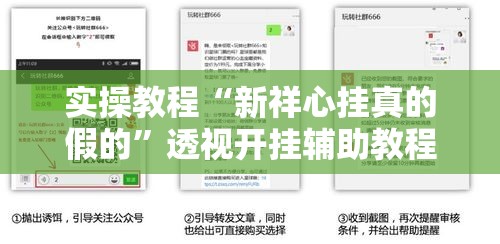 实操教程“新祥心挂真的假的”透视开挂辅助教程