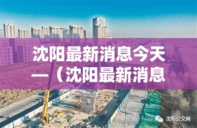 沈阳最新消息今天—（沈阳最新消息发布）