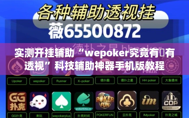 实测开挂辅助“wepoker究竟有沒有透视”科技辅助神器手机版教程