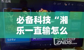 必备科技“湘乐一直输怎么办!辅助神器插件下载