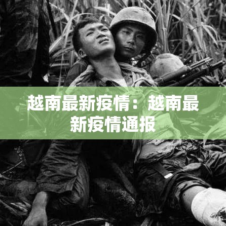越南最新疫情：越南最新疫情通报