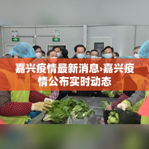 嘉兴疫情最新消息›嘉兴疫情公布实时动态 嘉兴疫情最新消息›嘉兴疫情公布实时动态
