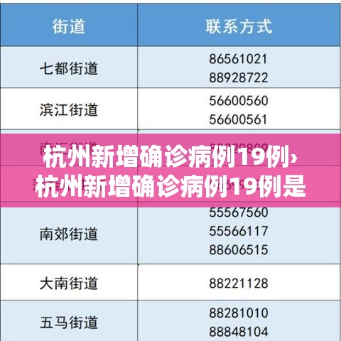 杭州新增确诊病例19例›杭州新增确诊病例19例是哪里的 杭州新增确诊病例19例›杭州新增确诊病例19例是哪里的
