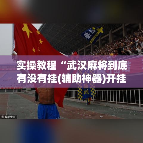 实操教程“武汉麻将到底有没有挂(辅助神器)开挂详细教程 实操教程“武汉麻将到底有没有挂(辅助神器)开挂详细教程