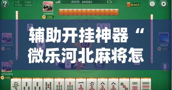 辅助开挂神器“微乐河北麻将怎么提高胜率”透视开挂辅助教程