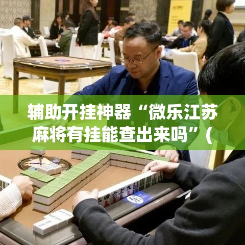 辅助开挂神器“微乐江苏麻将有挂能查出来吗”(透视挂)辅助透视教程