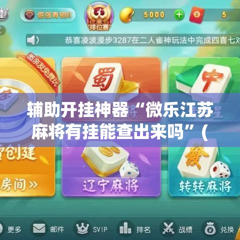 辅助开挂神器“微乐江苏麻将有挂能查出来吗”(透视挂)辅助透视教程