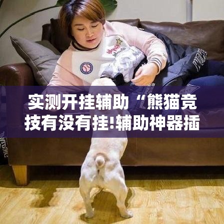 实测开挂辅助“熊猫竞技有没有挂!辅助神器插件下载 实测开挂辅助“熊猫竞技有没有挂!辅助神器插件下载