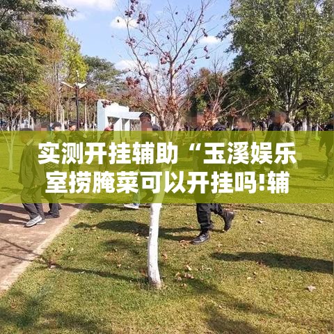 实测开挂辅助“玉溪娱乐室捞腌菜可以开挂吗!辅助神器插件下载