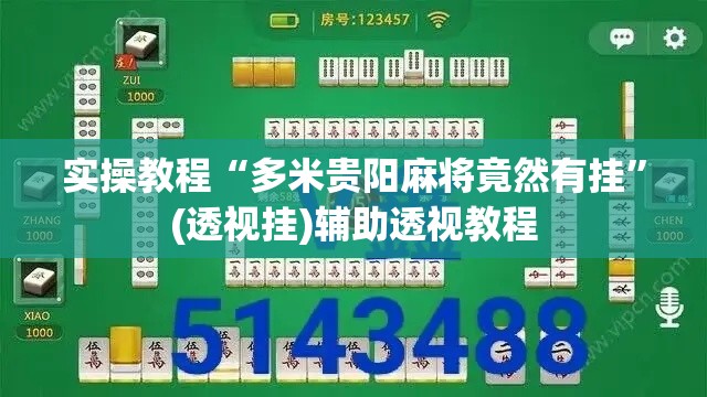 实操教程“多米贵阳麻将竟然有挂	”(透视挂)辅助透视教程
