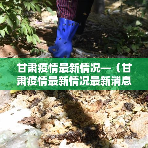 甘肃疫情最新情况—（甘肃疫情最新情况最新消息今天）