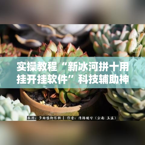 实操教程“新冰河拼十用挂开挂软件	”科技辅助神器手机版教程