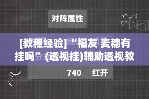 [教程经验]“福友 麦穗有挂吗”(透视挂)辅助透视教程