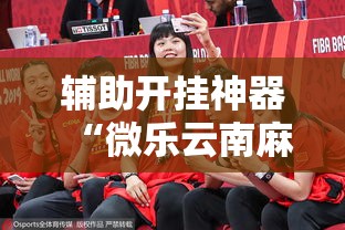 辅助开挂神器“微乐云南麻将免费开挂手机版”透视开挂辅助教程