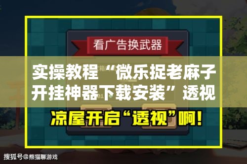 实操教程“微乐捉老麻子开挂神器下载安装”透视开挂辅助教程