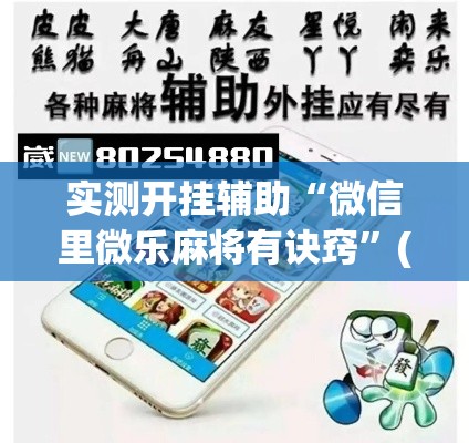 实测开挂辅助“微信里微乐麻将有诀窍	”(透视挂)辅助透视教程