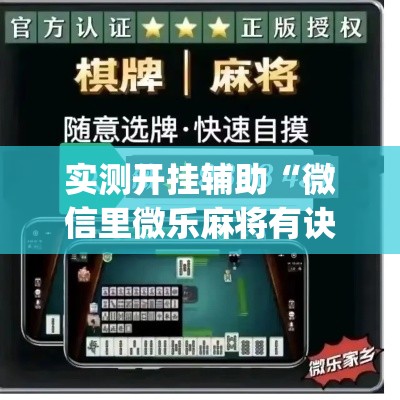 实测开挂辅助“微信里微乐麻将有诀窍”(透视挂)辅助透视教程